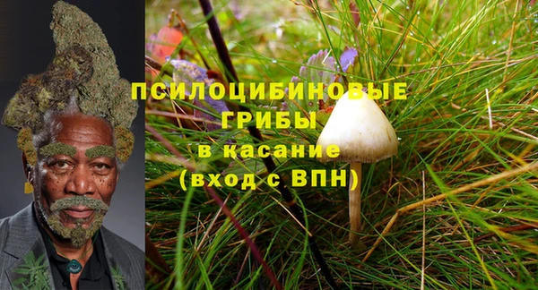 соль ск Горняк